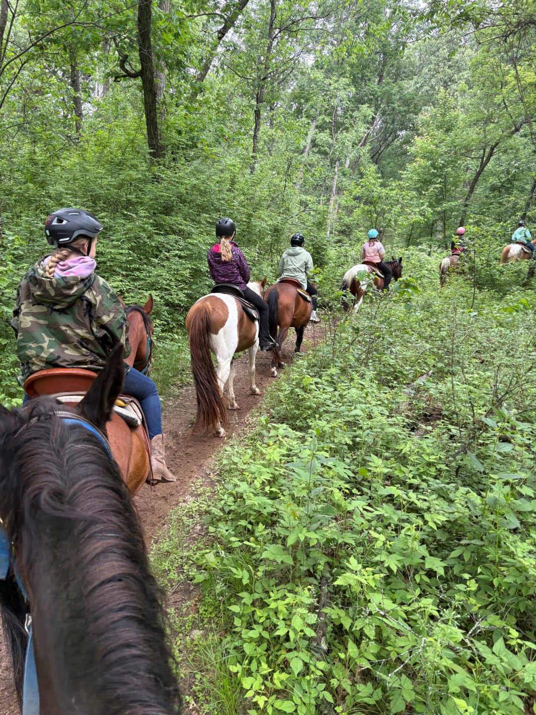 Girls campers on a horse trail ride through the forest.
